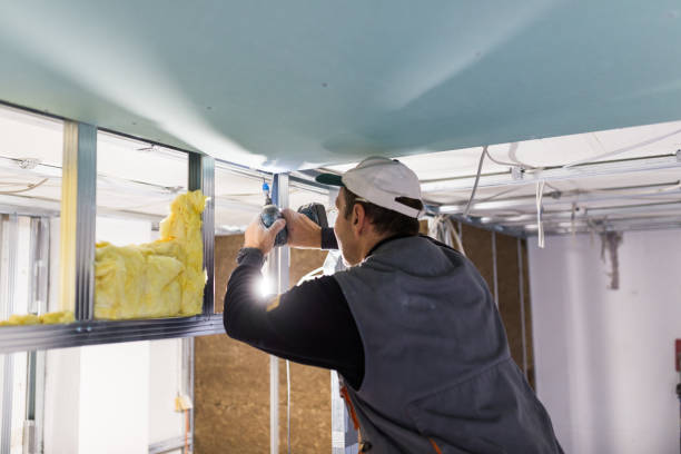 Best Insulation Contractor Near Me  in Buies Creek, NC