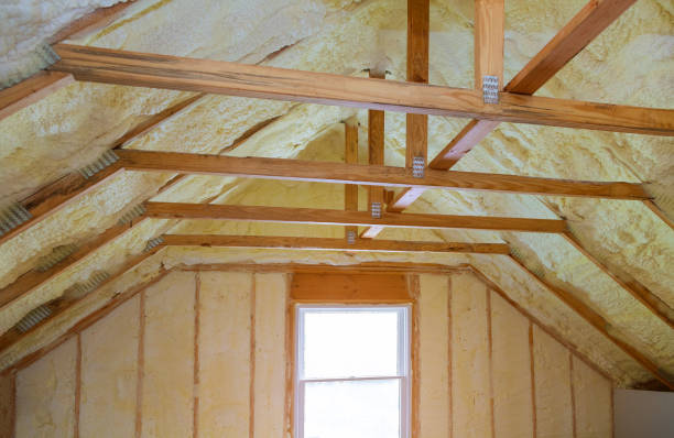 Best Attic Insulation Installation  in Buies Creek, NC