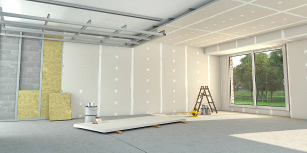 Best Insulation Removal  in Buies Creek, NC