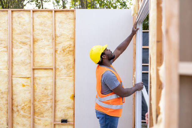 Best Local Insulation Services  in Buies Creek, NC