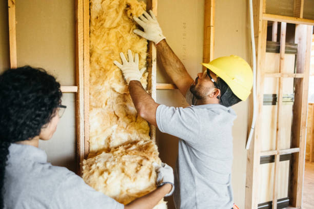 Insulation Repair Services in Buies Creek, NC