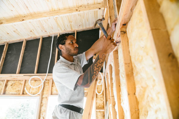 Professional Insulation Contractor in Buies Creek, NC