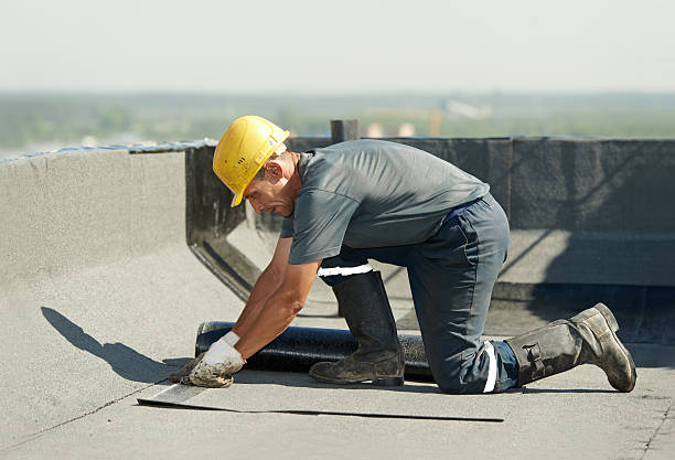 Best Attic Insulation Installation  in Buies Creek, NC