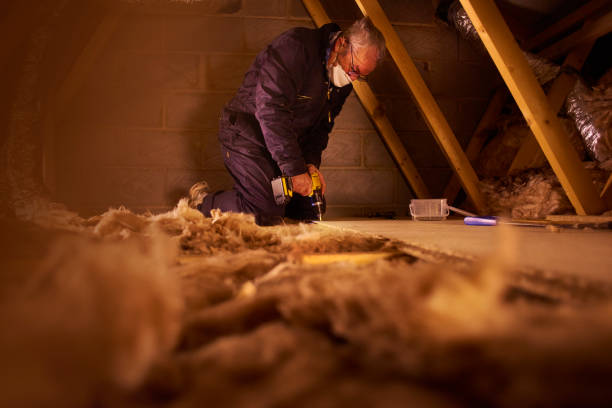 Best Residential Insulation Services  in Buies Creek, NC